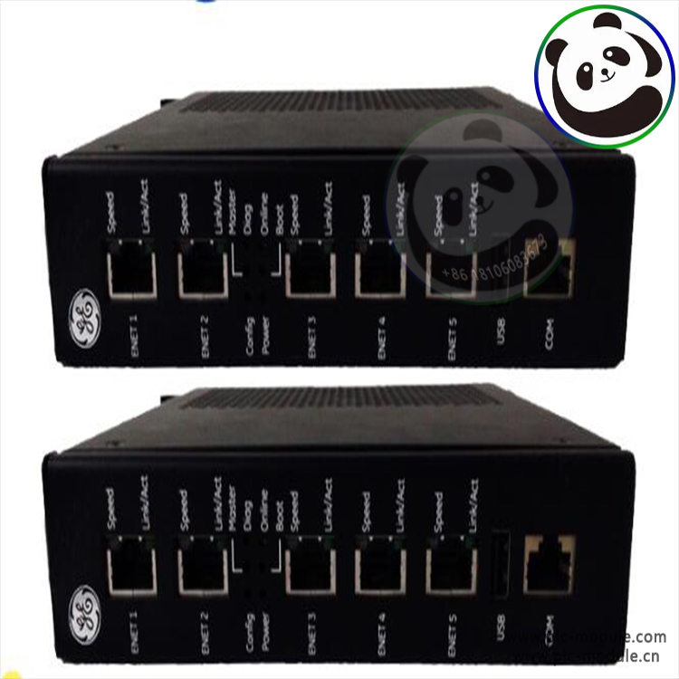 GE 531X304IBDASG1 多功能 I/O 模块