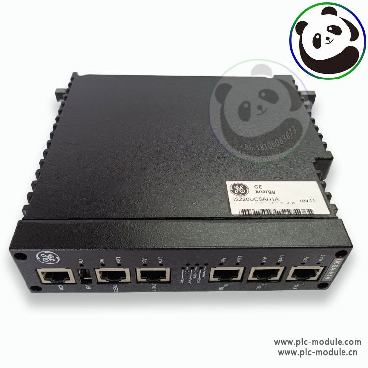 GE DS200SDCIG2AEB 工业控制模块